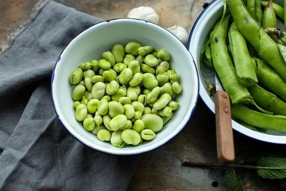 نکات کلیدی در جدیدترین روش پخت باقالی؛ مزه‌ای که نمی‌توان فراموش کرد