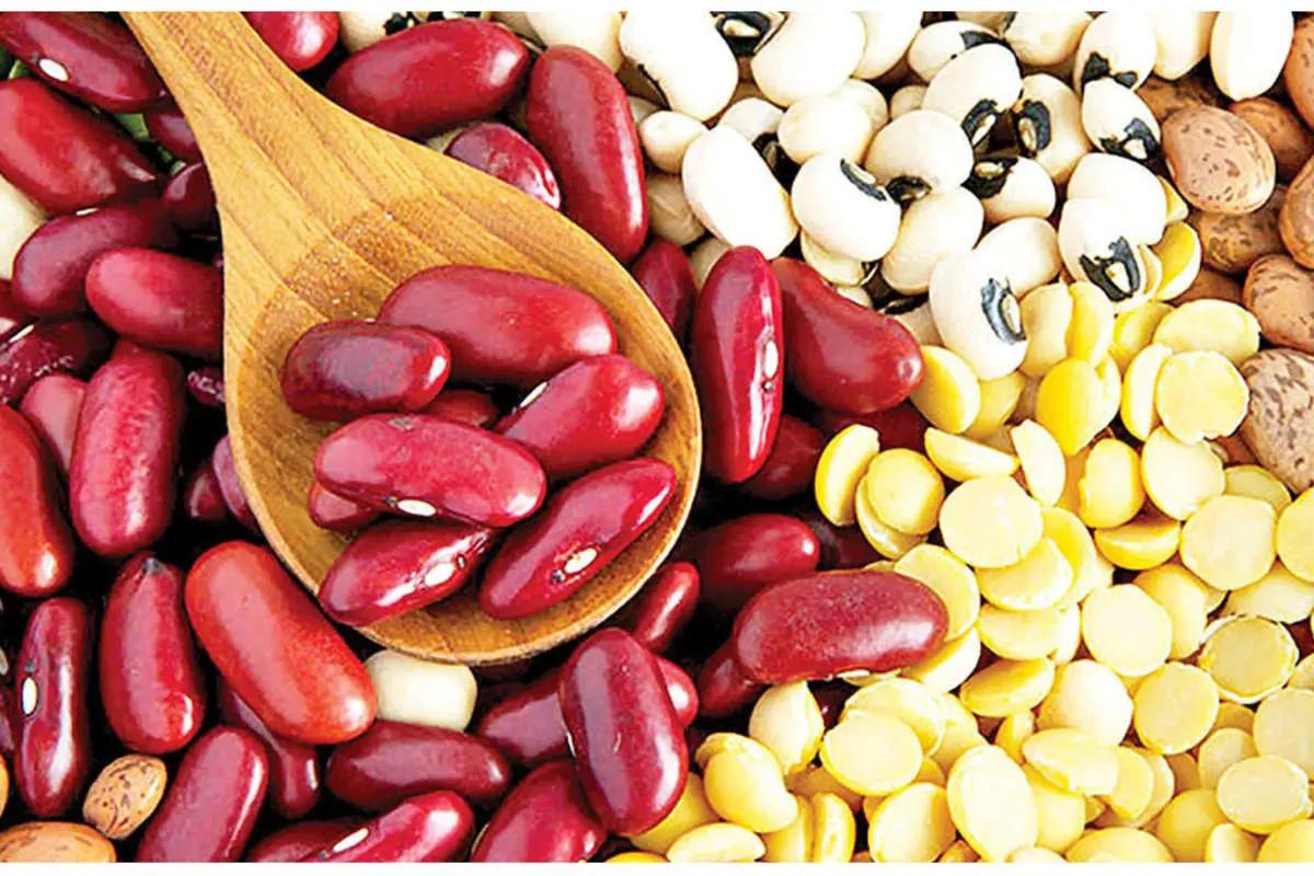 افزایش بی‌سابقه قیمت حبوبات | دلیل گرانی و پیامدهای آن برای معیشت مردم