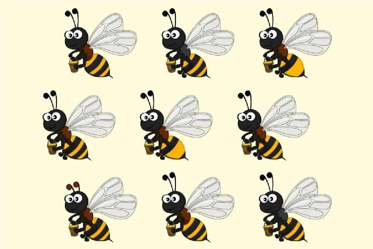 بازی ذهنی مخصوص چشم‌های شکارچی اگه واقعاً تیزبین‌تری، زنبور رقیب رو نشون بده!