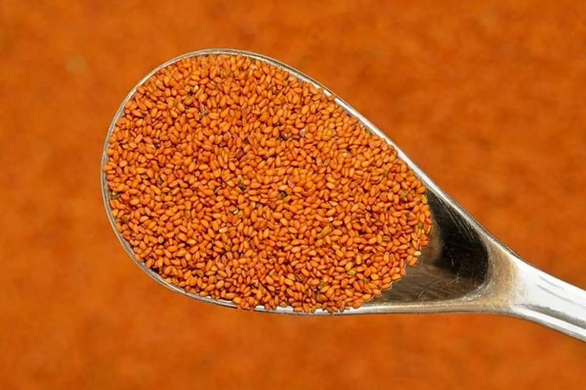 معجزه خاکشیر برای سلامتی