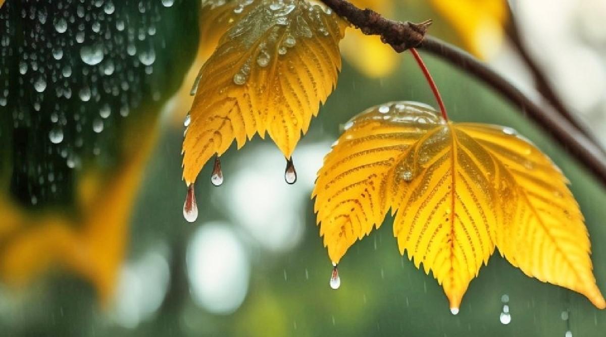 سیزده بدر ۱۴۰۴؛ روزی بارانی و خنک در انتظار تهران و برخی استان‌ها