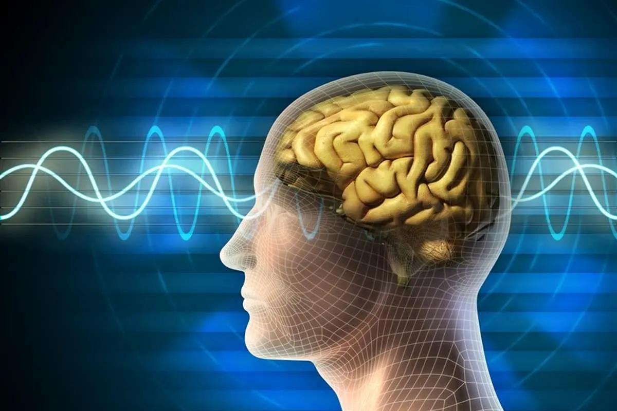 این ترکیب غذایی سبب تقویت مغز می‌شود