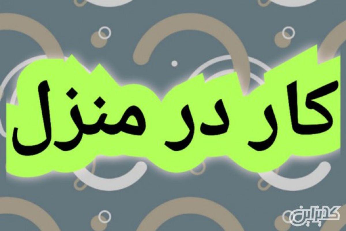 شغل پردرآمد در خانه | این کار متفاوت رو توی خونه انجام بده و حسابی پول در بیار