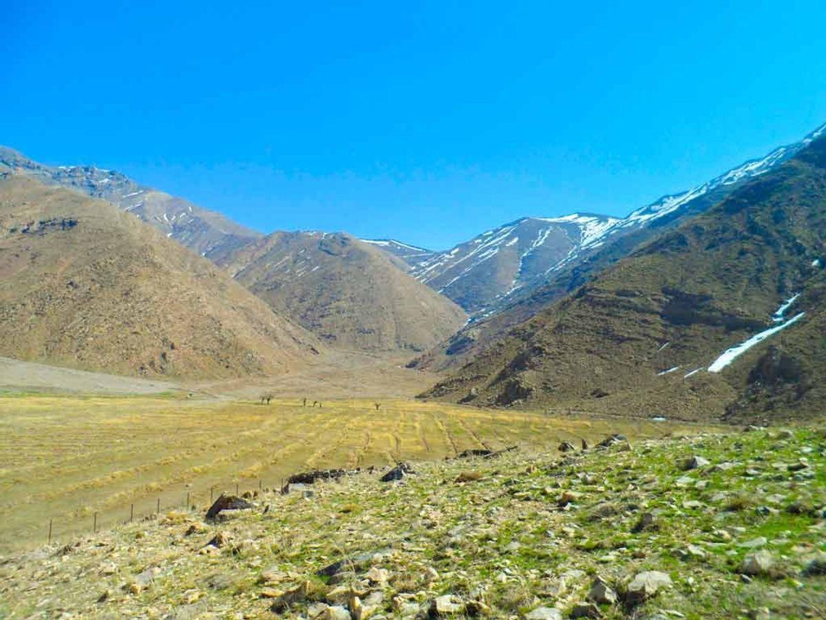 آخر هفته پیک نیک کجا برم؟ | تا حالا تنگه ولنجک رفتی؟