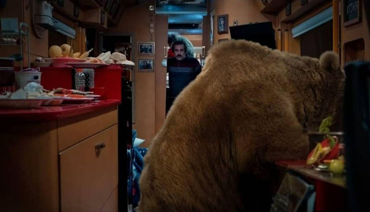 پشت صحنه مهیج پایتخت ۷ فاش شد| بدلکاران نقی و بهتاش چگونه با خرس درگیر شدند؟