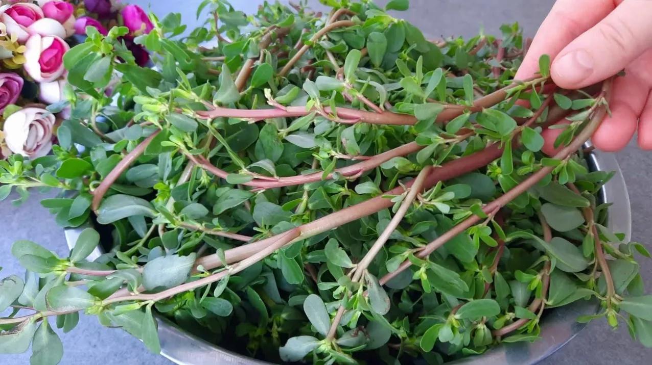 دستور پخت خورش خرفه بدون نیاز به گوشت