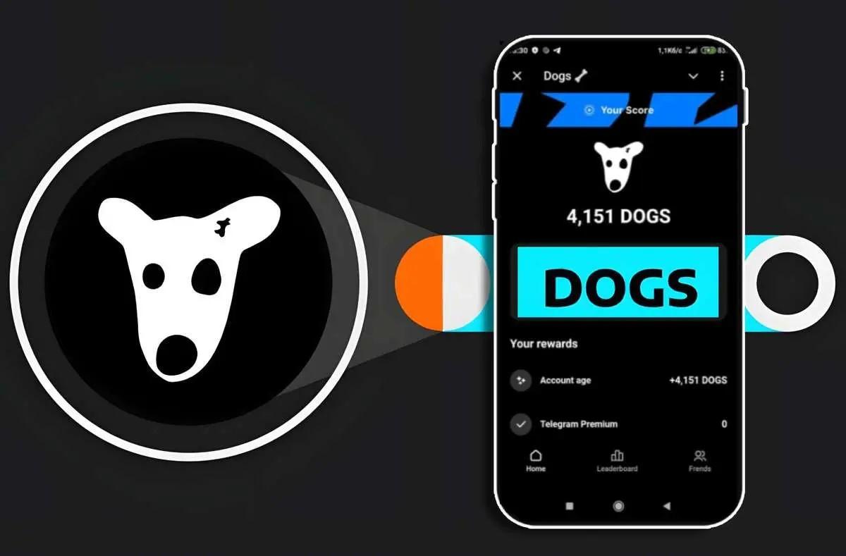 قیمت داگز (DOGS) چقدر است؟ | داگز جای همستر کامبت را گرفت +جزئیات