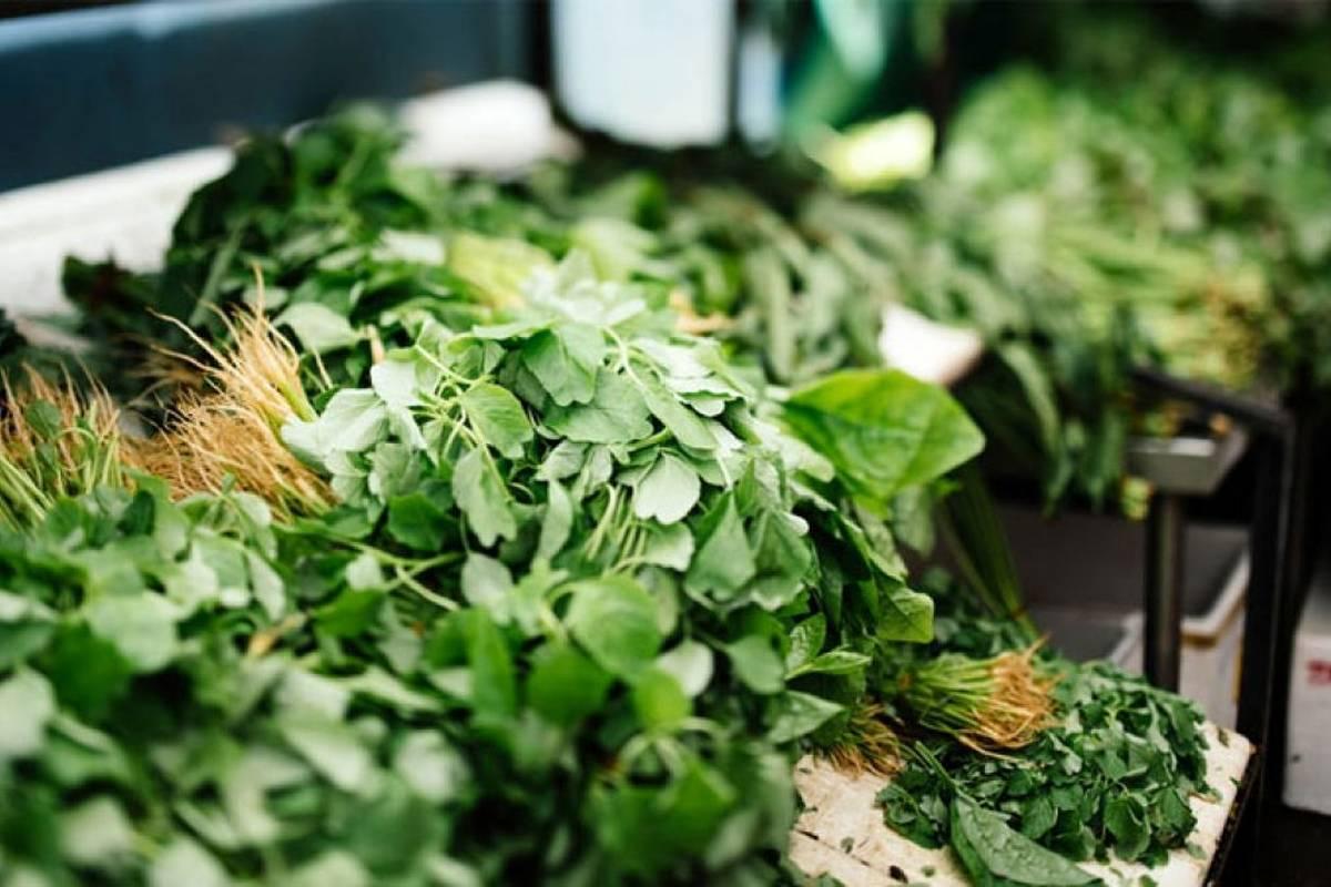 راز خوشطعمی قورمه شمالی؛ ترکیبات سبزی مخصوص