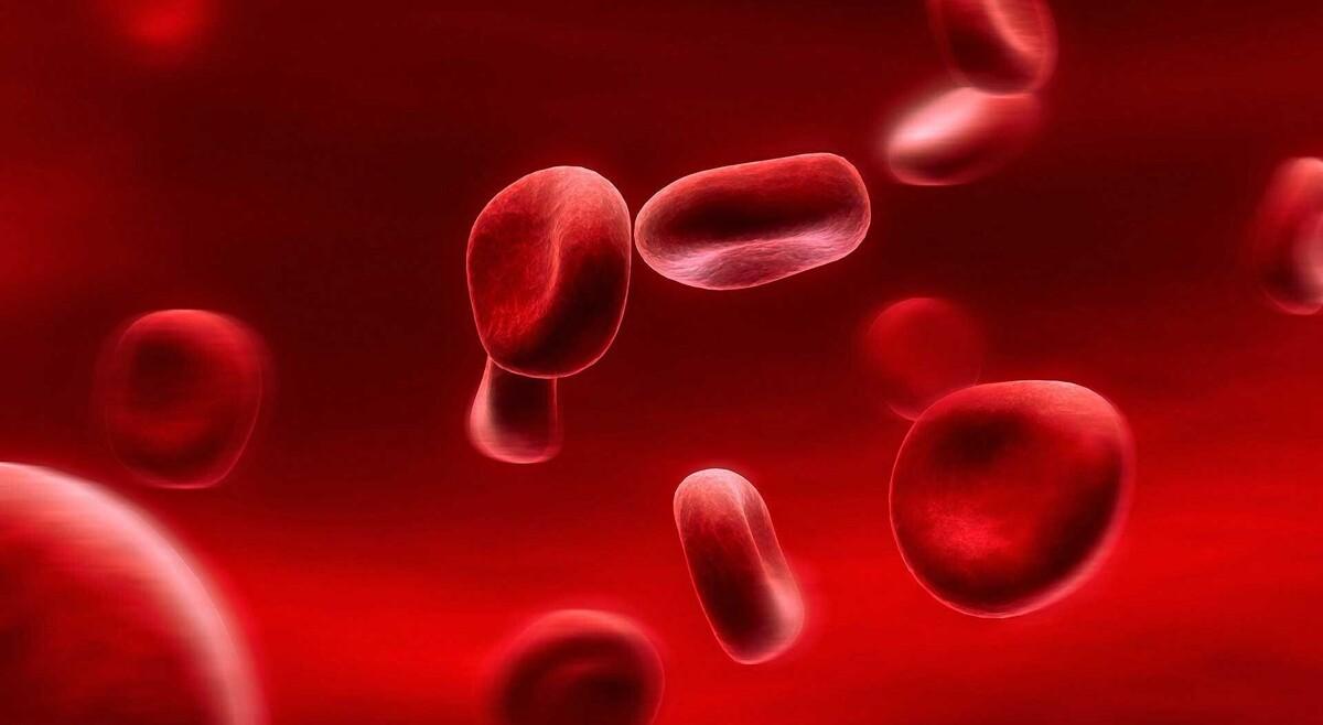 دلیل کم خونی و فقر آهن در بدن افراد| چگونه کم خونی بدن را کنترل کنیم؟