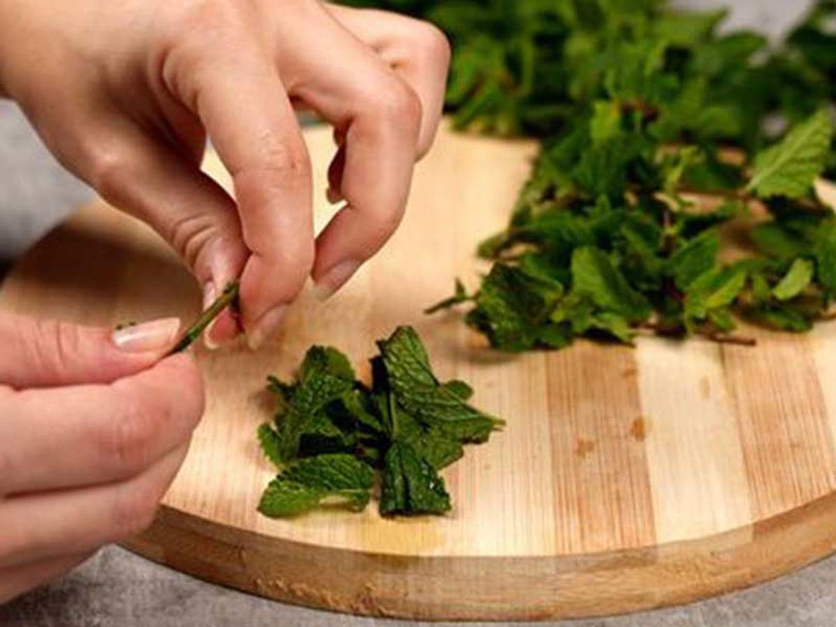آموزش خشککردن نعنا به روش خانگی؛ با این ترفند نعنا سیاه نمیشود!