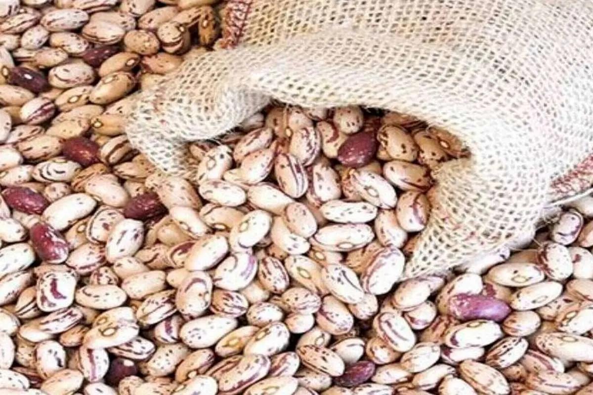 قیمت انواع لوبیا چیتی در بازار